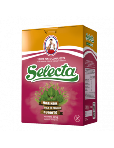 Selecta Yerba Mate Compuesta Moringa 500 gm x 10